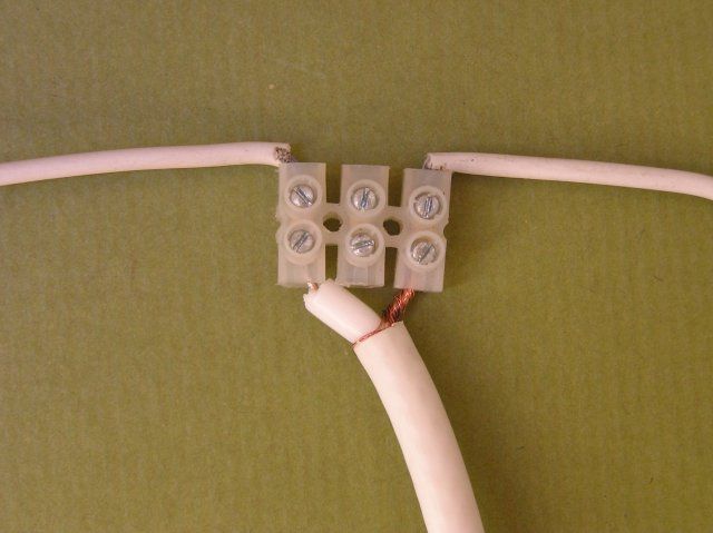 dipolopara15m.jpg