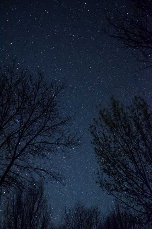 DSC_4240.JPG