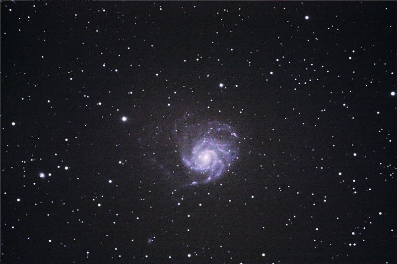 M101DARKSNEVERA1.jpg