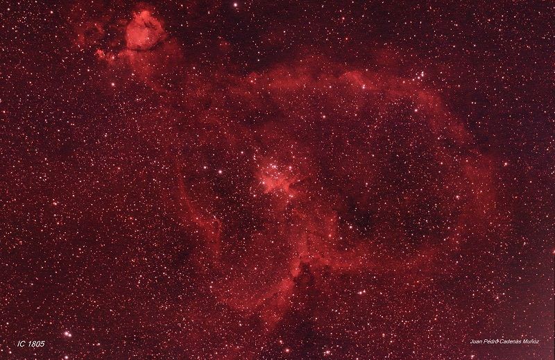 ic1805P.jpg
