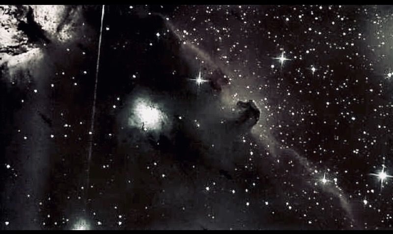 7751D70F-0370-4F64-81CE-2F9F51E89B3B.jpeg