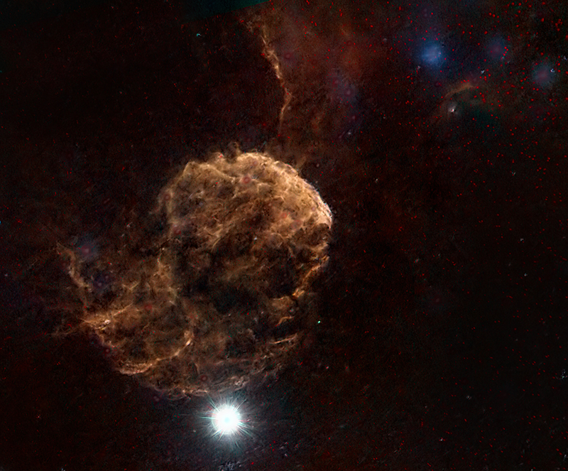 MEDUSASTARLESS_2022-02-17.jpg