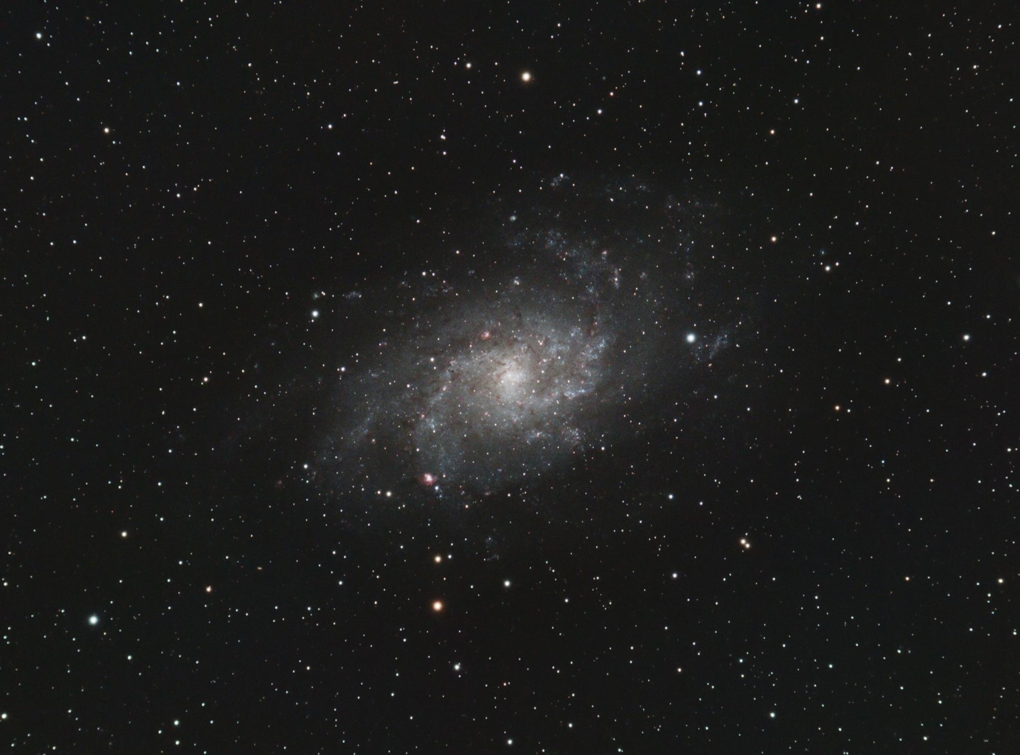 M33