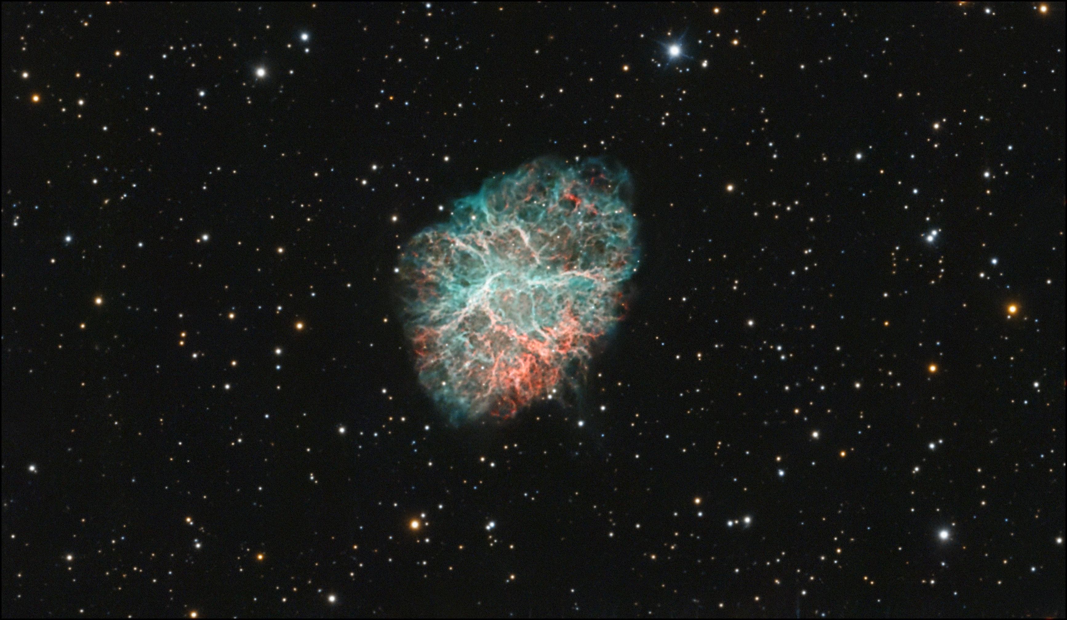 M1